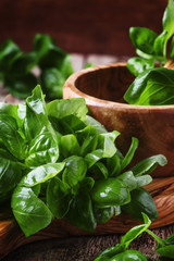 Fresh green basil in olive mortar with pestle, vintage wooden background, rustic style, selective focus