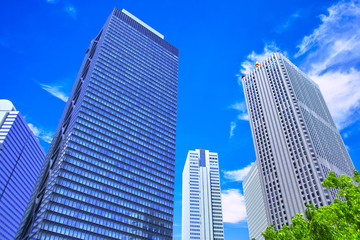 Fototapeta na wymiar 新緑の新宿高層ビル街