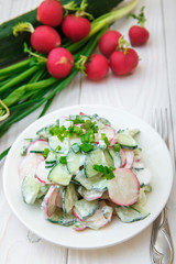 Cucumber salad, radish and green onions