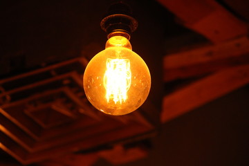 Bulb Lamp
