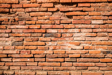 Orange brick wall among the ruins