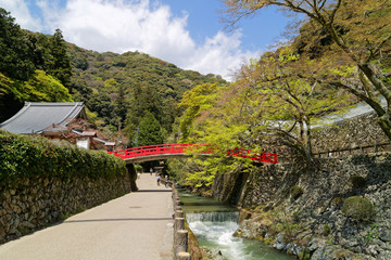 大阪府営箕面公園 滝道