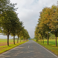 road in the countryside and red car coming from afar