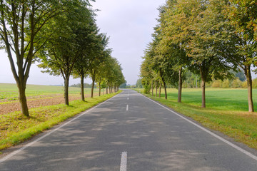 Fototapeta premium straight road in the countryside