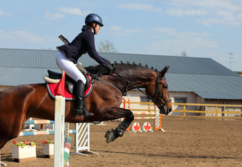 Equestrian girl horseback jumping obstacle 