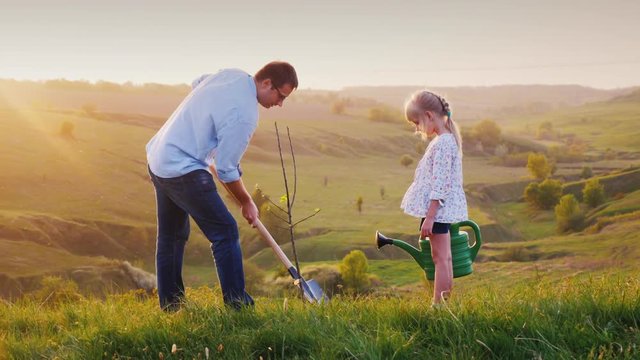 Father and daughter work together. They plant a tree seedling in a picturesque place. The father digs a hole, the daughter holds a watering can and helps him. Strong family, volunteer work