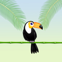 Toucan in the forest