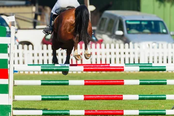 Papier Peint photo Lavable Léquitation Show Jumping Horse Closeup Rear Photo