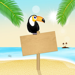 toucan on sign