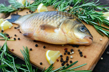 Big live carp (crucian) on a cutting board with rosemary branches. Fresh catch. Close up