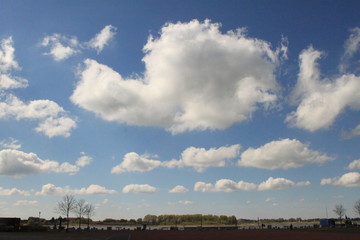 Fototapeta na wymiar Blick zu den Wolken am Geesthachter Elbufer