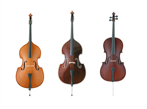 Cello isolated on white background with clipping mask.
