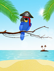 pirate parrot on the island