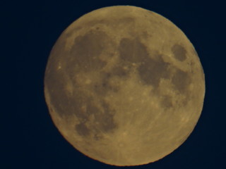 Moon © Miadwel