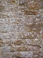 Old Decaying Bricks