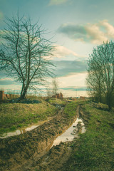 Ruins of a ruined old large factory.