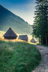 Obraz premium Wonderful sunrise in Valley Chocholowska, Tatra Mountains, Poland, Europe