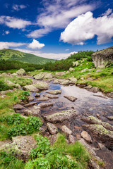 Fototapeta na wymiar Footpath in the Tatras Mountains by stream in summer, Poland