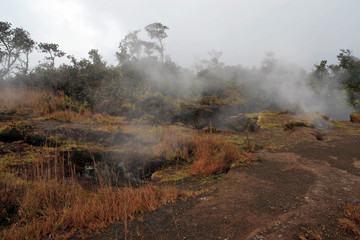 Hawaiʻi Volcanoes National Park, Big Island, Hawaii, USA