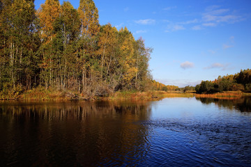 Fototapeta na wymiar Autumn forest lake sky