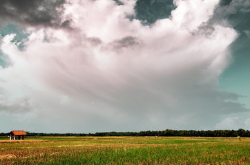 Storm cloud above the green field