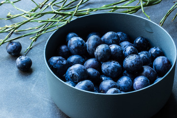 Frische Heidelbeeren in grauer Schale mit Heidelbeerzweigen