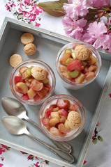 Rhabarber-Quark Dessert mit Amarettini