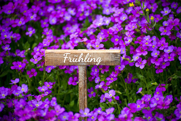Frühling
