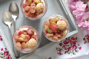 Rhabarber-Quark Dessert mit Amarettini