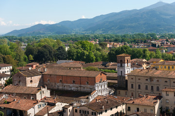 Fototapeta na wymiar Aerial view of Lucca with the church of Santa Maria Forisportam. Tuscany, Italy, Europe