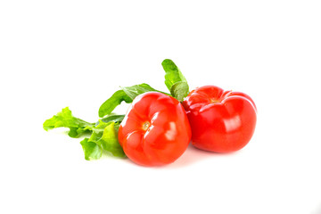 Fesh tomatoes  on the white background