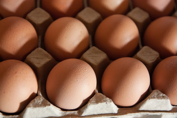 Fresh Eggs on tray
