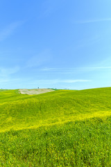 Fototapeta na wymiar Countryside landscape in Tuscany Italy