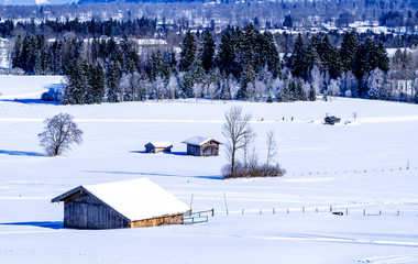 wintertime