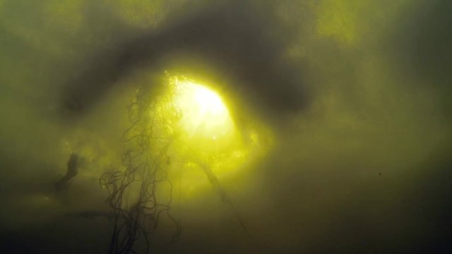 Setting winter fishing nets through ice hole, underwater time-lapse shot.
