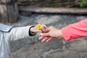 Son gives mom a flower in her hand