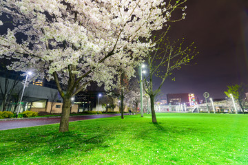 小倉駅北口公園の夜景