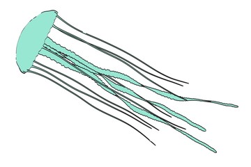2d cartoon illustration of jellyfish