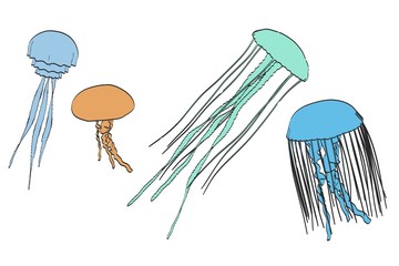 2d cartoon illustration of jellyfishes