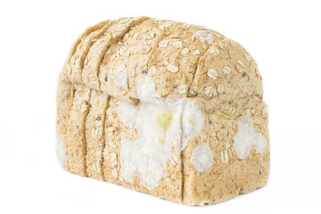 Bread sliced and fungus on white background isolated.