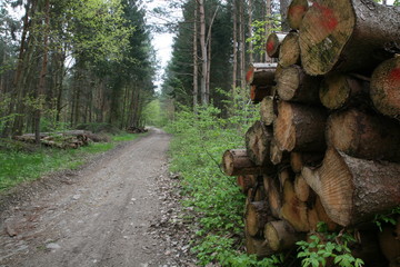 wooden logs