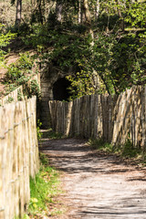 Fototapete bei efototapeten.de bestellen   