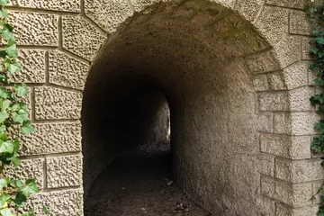 Fototapeten Tunnel in landgoed Heidestein Driebergen-Rijsenburg Utrecht Nederland © Wil
