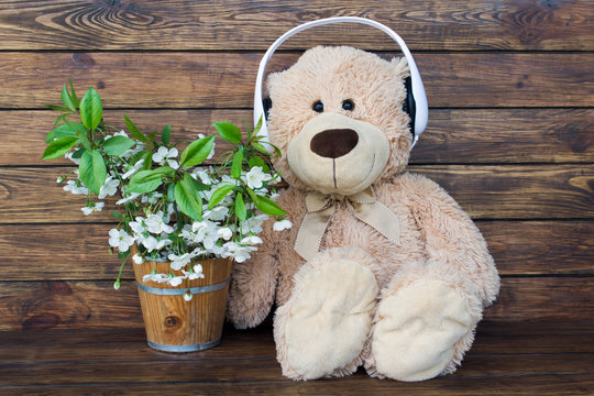 Teddy bear in white headphones with bouquet