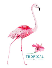 Hand drawn watercolor tropical birds set of flamingo. Exotic bird illustrations, jungle tree, brazil trendy art. Perfect for fabric design. Aloha set