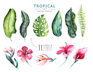 Hand drawn watercolor tropical plants set . Exotic palm leaves, jungle tree, brazil tropic botany elements and flowers. Perfect for fabric design. Aloha set