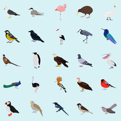 Set of color birds icons for web and mobile design