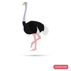 Ostrich color flat icon for web and mobile design