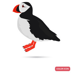 Puffin color flat icon for web and mobile design