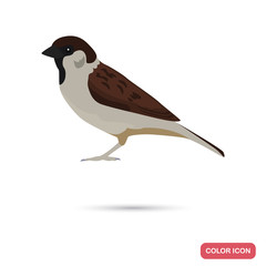 Sparrow color flat icon for web and mobile design